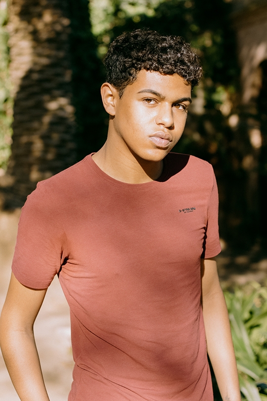 Abel portfolio 2
